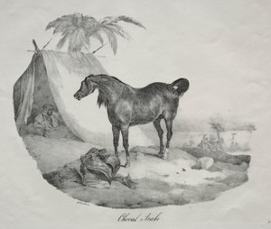 Arabisk hest af Theodore Gericault