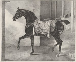 En sort hest bundet i en stald af Theodore Gericault