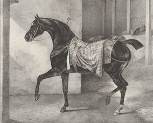 Sort hest bundet i en stald, 1822. af Theodore Gericault