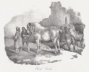 Cheval Cauchois (en lokal hesterace fra Caux i Normandiet) af Theodore Gericault