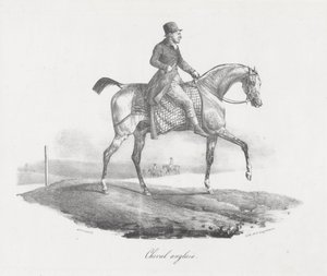 Engelsk hest (An English Horse) af Theodore Gericault