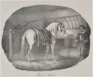 Hannoveraner hest. af Theodore Gericault