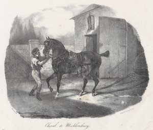 Mecklenburg-hest (A Mecklenburg Horse) af Theodore Gericault