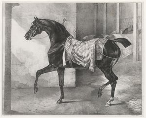 En sort hest bundet i en stald (A Black Horse Tethered in a Stable) af Theodore Gericault