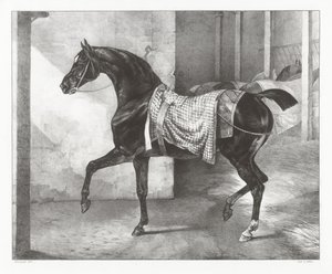 En sort hest bundet i en stald (A Black Horse Tethered in a Stable) af Theodore Gericault