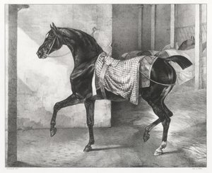 En sort hest bundet i en stald (A Black Horse Tethered in a Stable) af Theodore Gericault