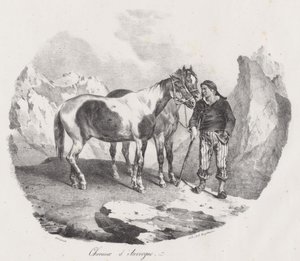 Heste fra Auvergne (Auvergne-heste) af Theodore Gericault