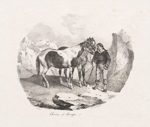 Auvergne heste af Theodore Gericault
