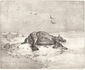Død Hest af Theodore Gericault