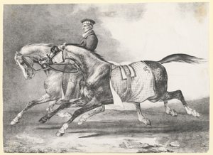 To grå heste med pletmønster, der bliver ført på tur (Two Dapple-Grays Being Exercised) af Theodore Gericault