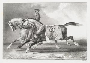 To grå heste med pletmønster, der bliver ført på tur (Two Dapple-Grays Being Exercised) af Theodore Gericault
