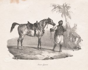egyptisk hoppe af Theodore Gericault