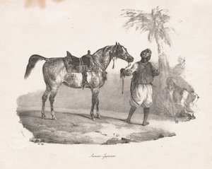 Egyptisk hoppe af Theodore Gericault