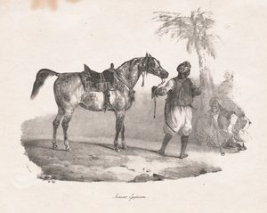 Egyptisk Hoppe, 1822. af Theodore Gericault
