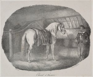 Hest fra Hannover af Theodore Gericault