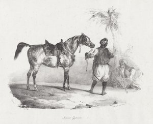 Egyptisk hoppe (An Egyptian Mare) af Theodore Gericault