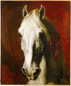 Hovedet af en hvid hest af Theodore Gericault