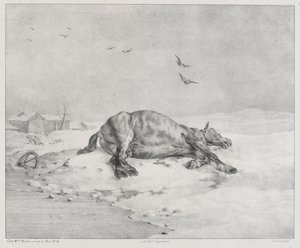 Den døde hest (The Dead Horse) af Theodore Gericault