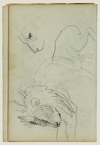 Studier af løver af Theodore Gericault
