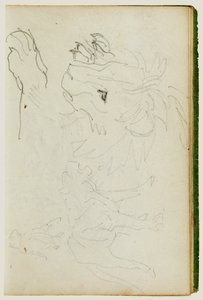Undersøgelser af løver af Theodore Gericault