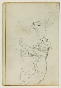 En løve, der går, med en løvindehoved af Theodore Gericault