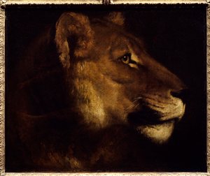 Løvinde hovedmaleri af Theodore Gericault (1791-1824) 1800-tallet søn. 0,55x0,65 m Paris, Musée du Louvre. - Leder af løvinde. Maleri af Theodore Gericault (1791-1824) af Theodore Gericault