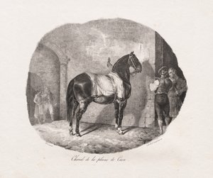 Litografiske undersøgelser af heste: Pl. 7, Hest fra Caen-sletten af Theodore Gericault