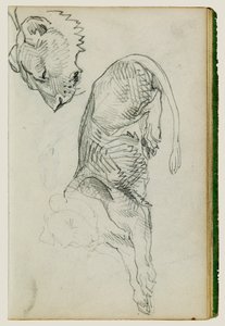 Siddende løve, hoved af løvinde af Theodore Gericault