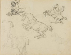 Skitser: Liggende nøgen, en rytter og forskellige heste af Theodore Gericault