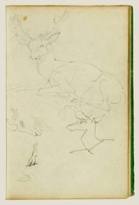 Studier af en siddende hjort, en hjortekalv og et gedhoved af Theodore Gericault