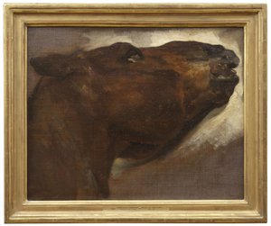 Studie af en død hest af Theodore Gericault