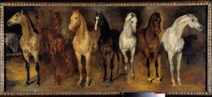Brysterne Syv heste forfra. Maleri af Theodore Gericault (1791-1824) 1800-tallet søn. 0,39x0,94 m Privat samling - Syv hestekister (set forfra). Maleri af Theodore Gericault (1791-1824) af Theodore Gericault