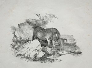 Hoppen og hendes føl af Theodore Gericault