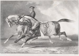 To gråspættede heste, der bliver trænet af Theodore Gericault