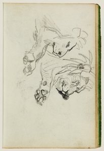 To undersøgelser af løver af Theodore Gericault