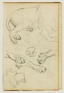 Forskellige studier af løvens ben, poter og hoved af Theodore Gericault