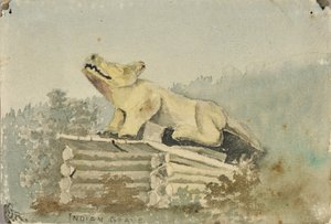 Indianergrav. Ulvetotem over medicinmandens grav, Wrangell af Theodore J. Richardson