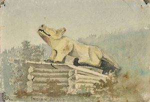 Indisk grav. Wolf Totem over Medicine Man Grave, Wrangell, ca. 1880-1914.