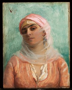 Ung osmannisk, 1879