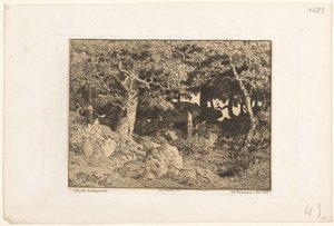 Egetræer på klipper Chenes de Roche (original titel) af Theodore Rousseau