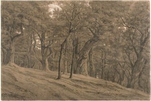 I skoven ved Fontainbleau af Theodore Rousseau