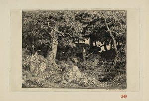 Rock Oaks