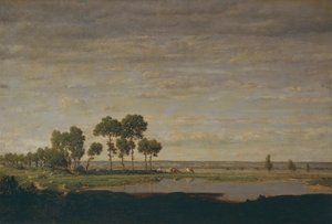Forår, dam