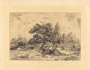 Udsigt over Plateau de Bellecroix af Theodore Rousseau