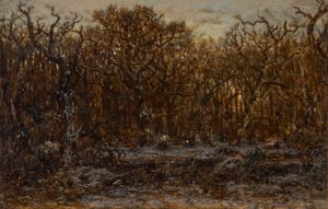 Skov ved solnedgang om vinteren