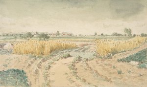 Wheatfields, 1865.