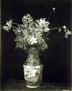 Blomsternes smerte
