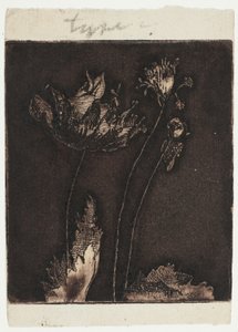Sidste valmuer af Theodore Roussel