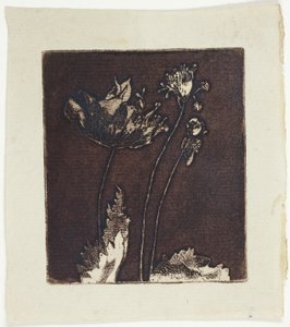 Sidste valmuer af Theodore Roussel