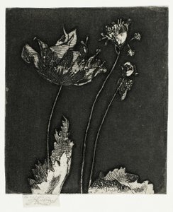 Sidste valmuer af Theodore Roussel